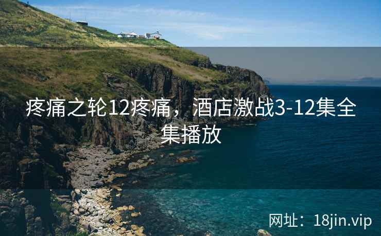 疼痛之轮12疼痛，酒店激战3-12集全集播放