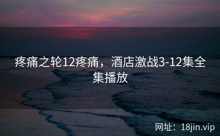 疼痛之轮12疼痛，酒店激战3-12集全集播放