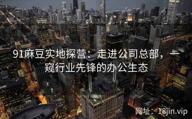 91麻豆实地探营：走进公司总部，一窥行业先锋的办公生态