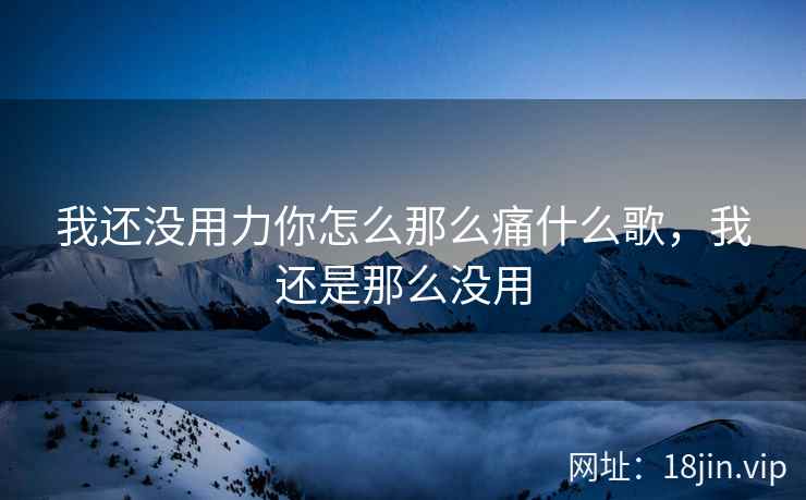 我还没用力你怎么那么痛什么歌，我还是那么没用