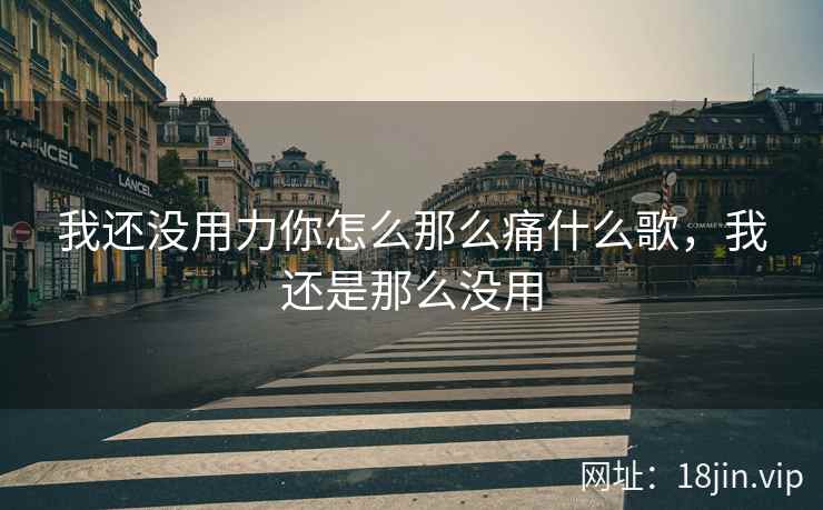 我还没用力你怎么那么痛什么歌，我还是那么没用