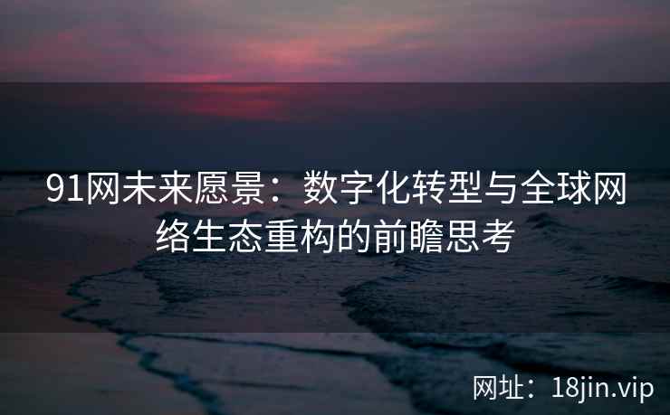 91网未来愿景：数字化转型与全球网络生态重构的前瞻思考
